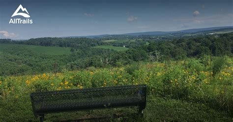 trexler park apts allentown pa|trexler nature preserve bison.